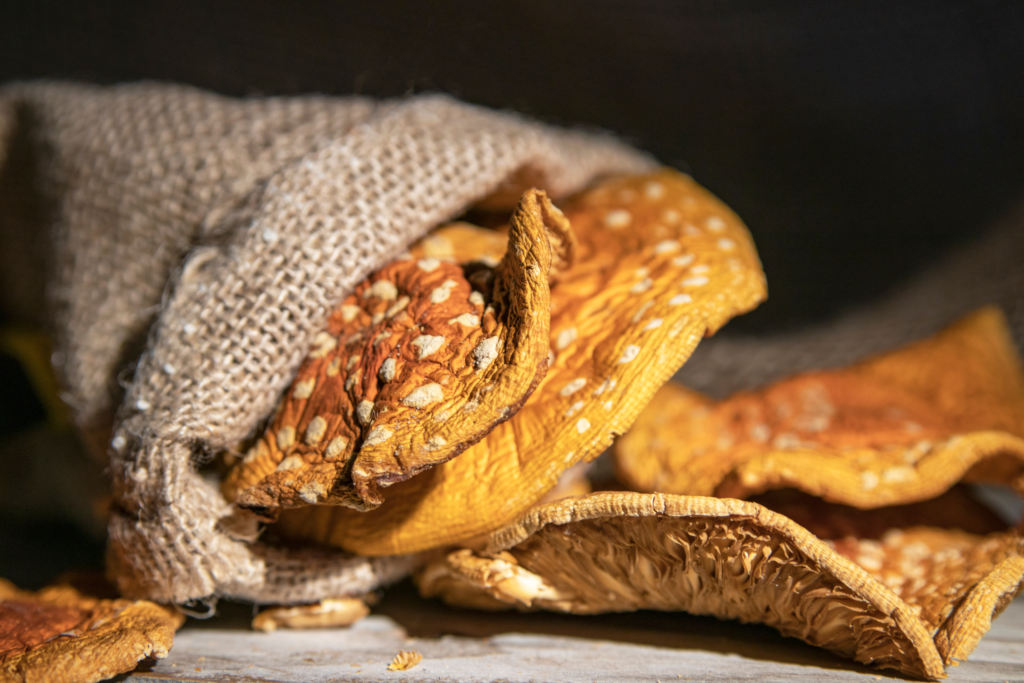 getrocknete fliegenpilz